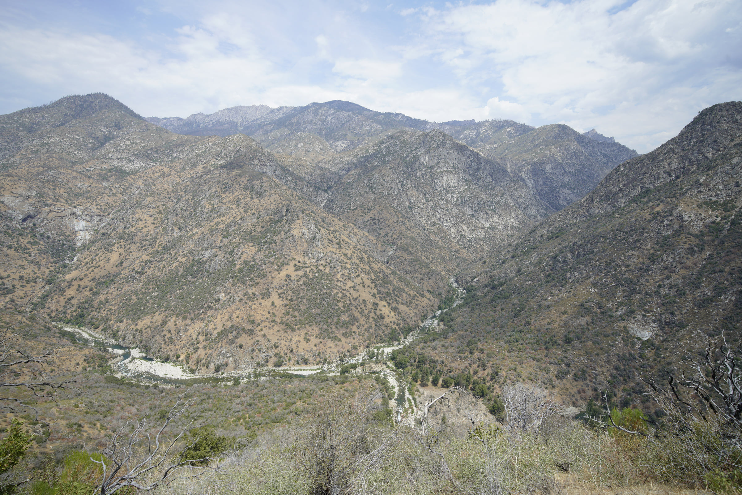 깊은 Kings Canyon 아래로 하천과 도로가 함께 휘어지는 넓은 전망.