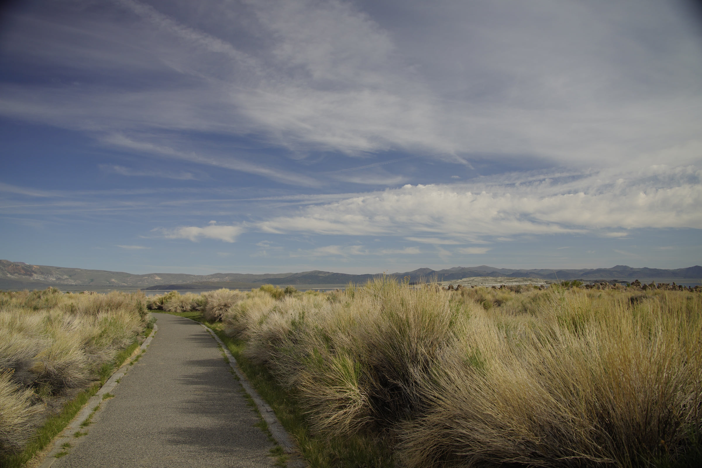 관목 사이로 모노 레이크를 향해 이어지는 길.